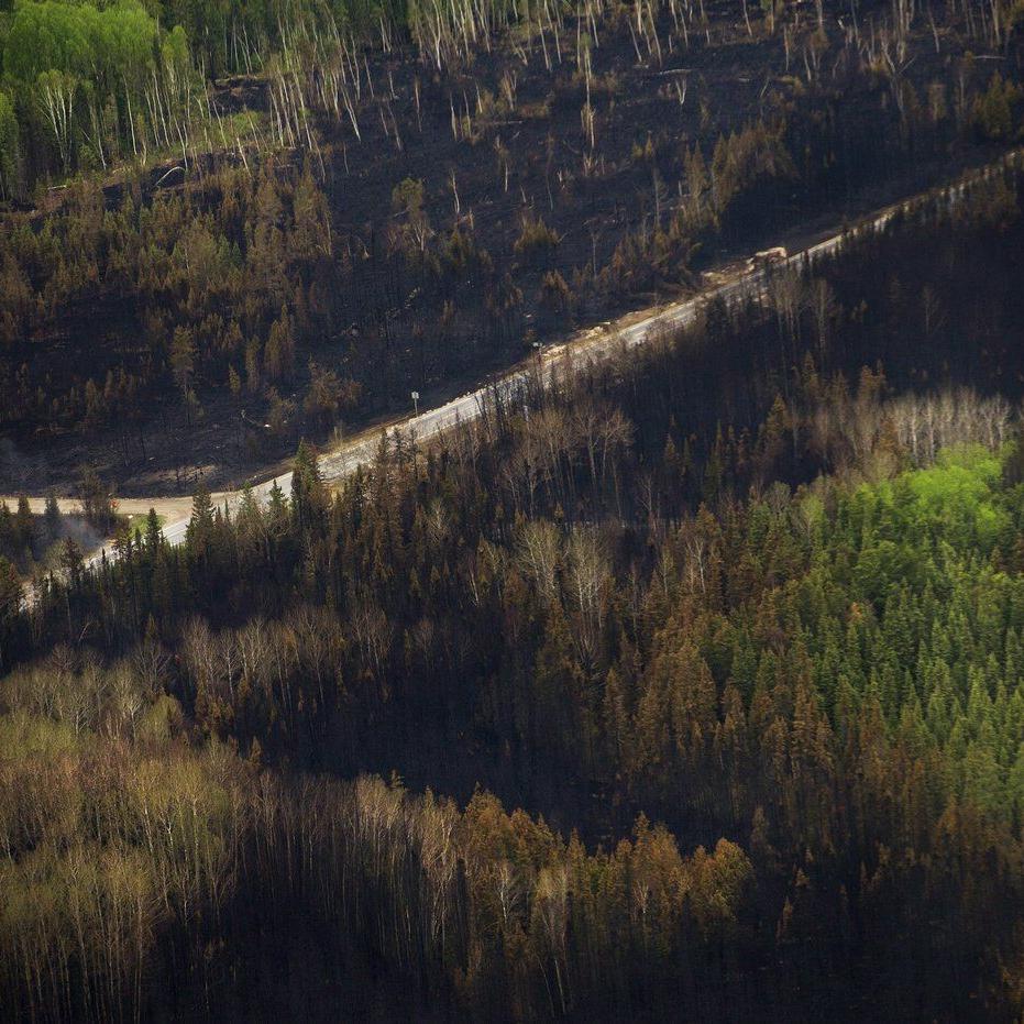 Canada primed for more severe wildfire days, driven by dry forest fuel: study